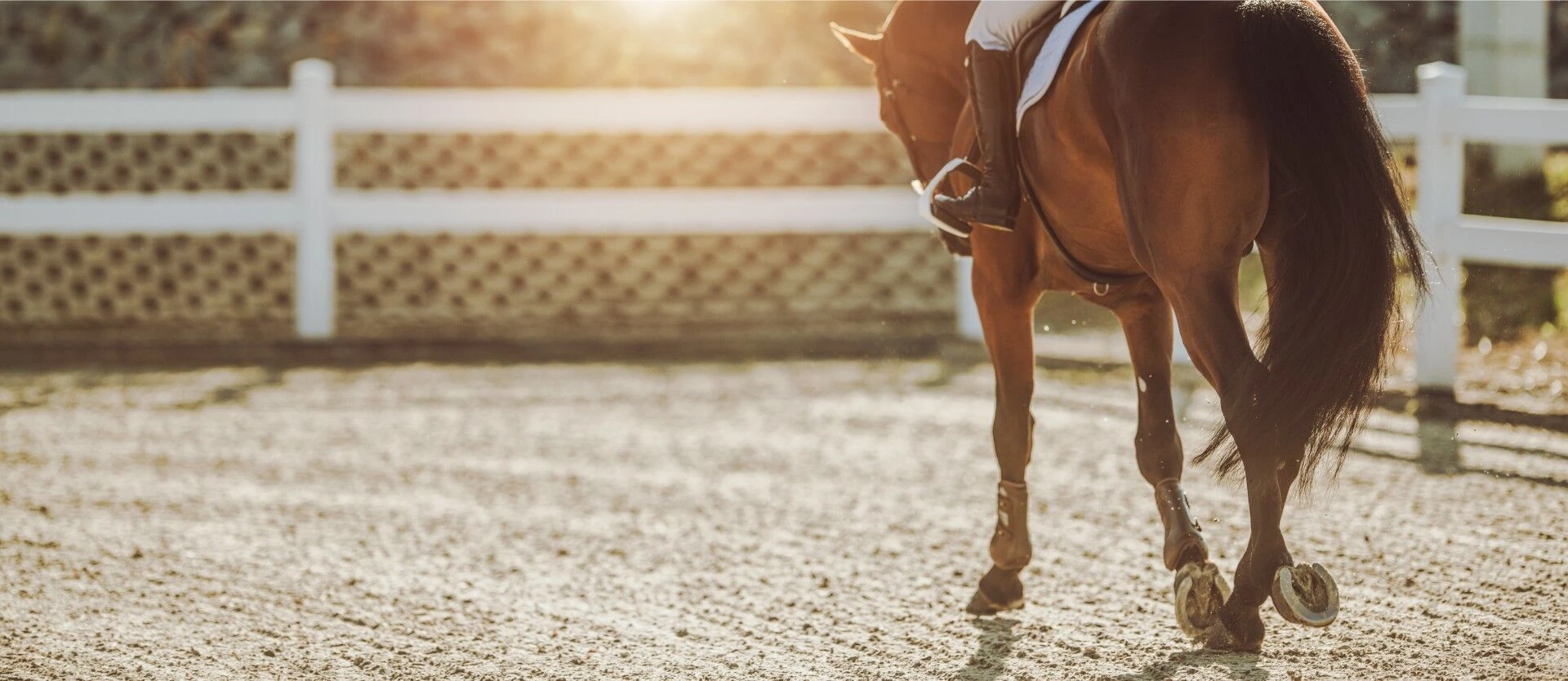 レッスン
